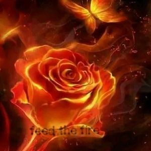 Meet your Posher, Angel